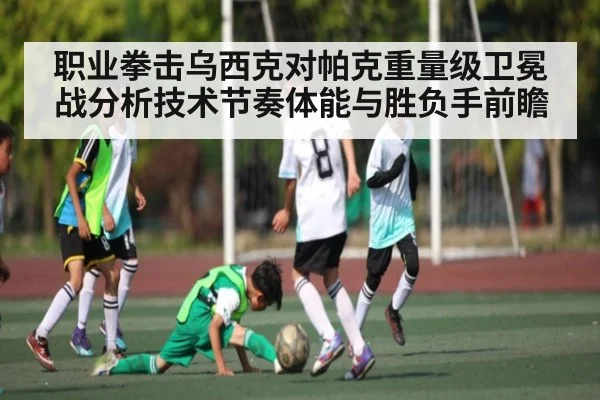 职业拳击乌西克对帕克重量级卫冕战分析技术节奏体能与胜负手前瞻 | kaiyun